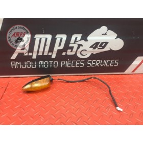 Clignotant arrière gauche 