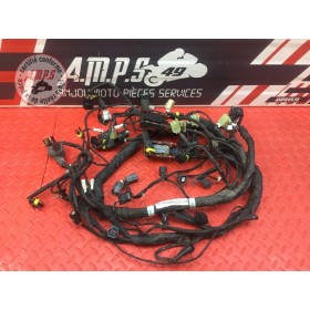 Faisceau électrique principale MV-Agusta Brutale 920 2011 à 2012