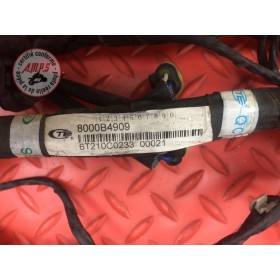 Faisceau électrique principale 