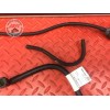 Durite de carburant MV-Agusta Brutale 920 2011 à 2012