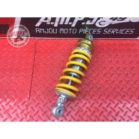 Amortisseur arrière 