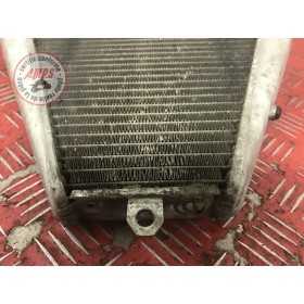 Radiateur d'eau inférieur129915DQ-666-EJH7-E4895709used
