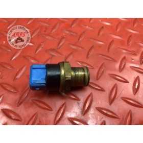 Sonde de température d'eau 