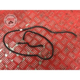Cable de masseDUKE79018FB-267-TAH4-E5897735used
