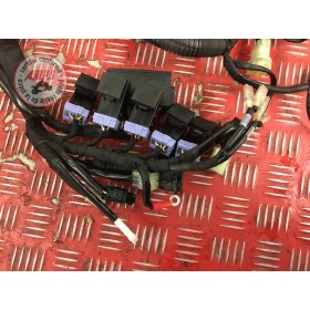Faisceau électrique principaleDUKE79018FB-267-TAH4-E5897697used