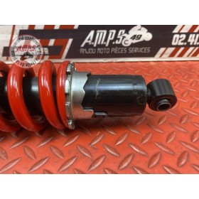 Amortisseur arrière 