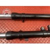 Paire de tube de fourche Yamaha XT 660 X 2004 à 2016