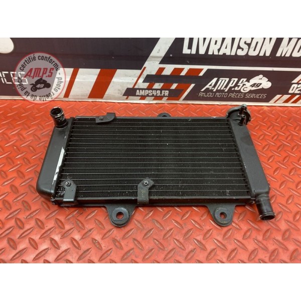 Radiateur d'eau Yamaha XT 660 X 2004 à 2016