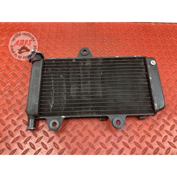 Radiateur d'eau Yamaha XT 660 X 2004 à 2016