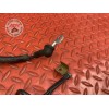 Cable de masse Yamaha XT 660 X 2004 à 2016