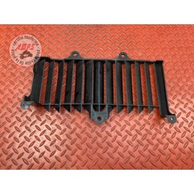 Grille de radiateur 
