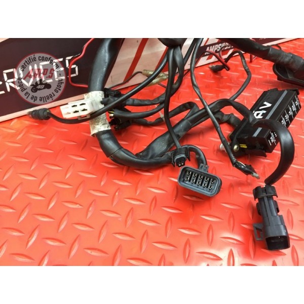 Faisceau électrique avant Ducati 900 SS IE 1998 à 2002