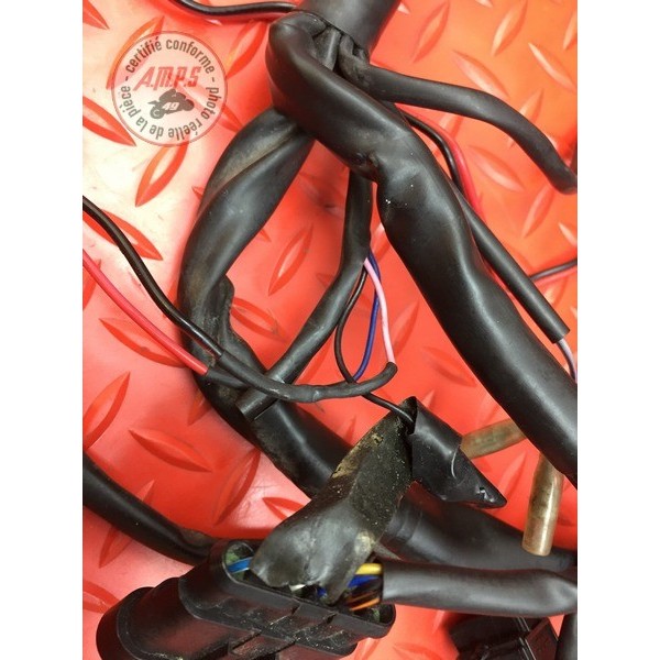 Faisceau électrique avant Ducati 900 SS IE 1998 à 2002