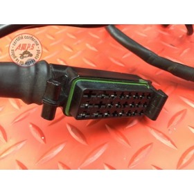 Faisceau électrique principale 