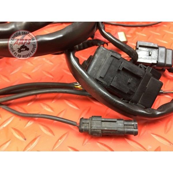 Faisceau électrique principale Ducati 900 SS IE 1998 à 2002