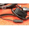 Faisceau électrique principale Ducati 900 SS IE 1998 à 2002