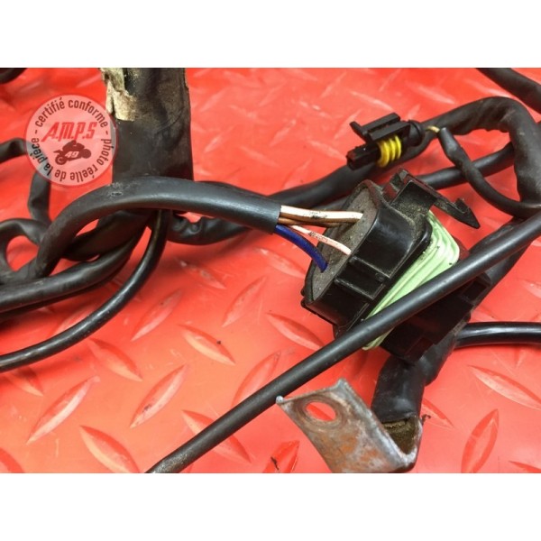 Faisceau électrique principale Ducati 900 SS IE 1998 à 2002
