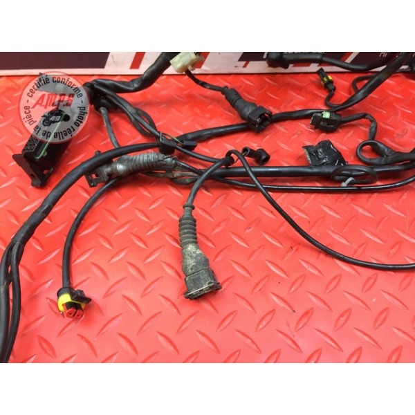 Faisceau électrique principale Ducati 900 SS IE 1998 à 2002