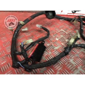 Faisceau électrique principale Yamaha XJ 600 Diversion S 1992 à 2003