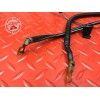 Cable de masse Suzuki GSF 1200 Bandit 2000 à 2005