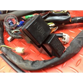 Faisceau électrique principale 