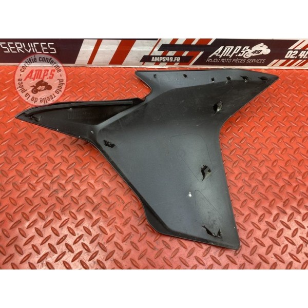 Ecope en plastique gauche 