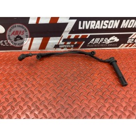 Antiparasite arriere 