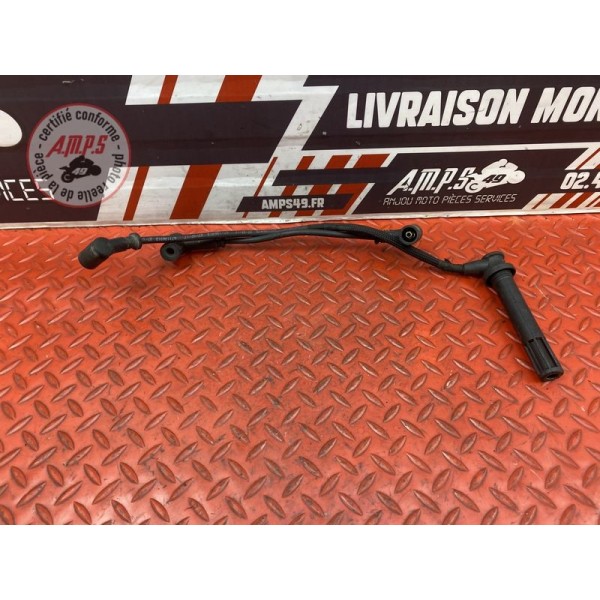 Antiparasite arriere 