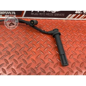 Antiparasite arriere 