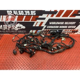 Faisceau électrique principale