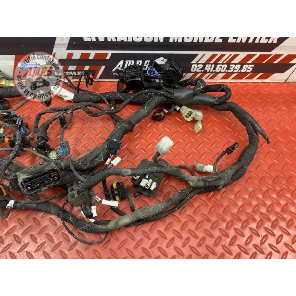 Faisceau électrique principale 