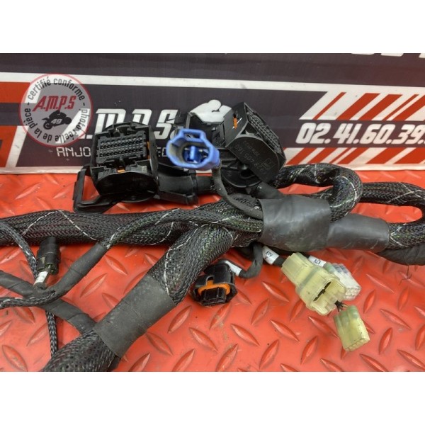 Faisceau électrique principale 