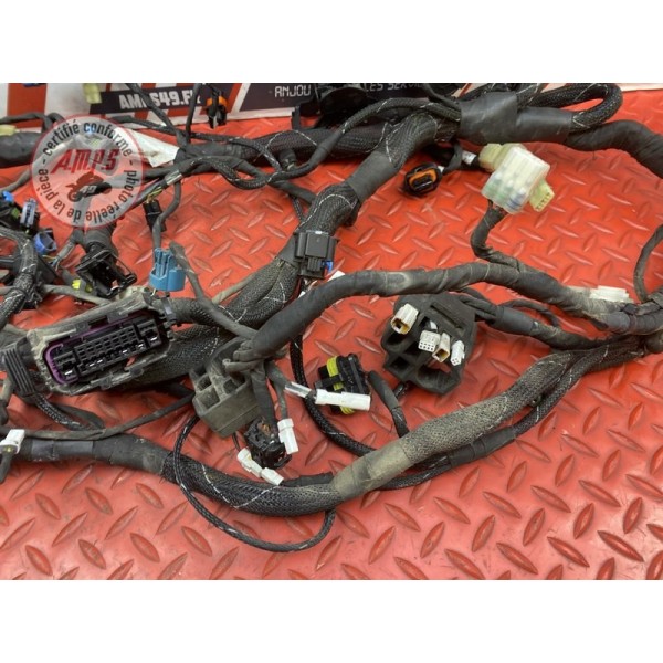 Faisceau électrique principale 