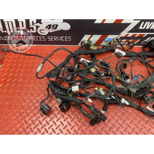 Faisceau électrique principale 