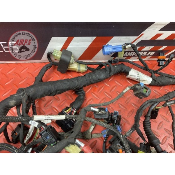 Faisceau électrique principale 