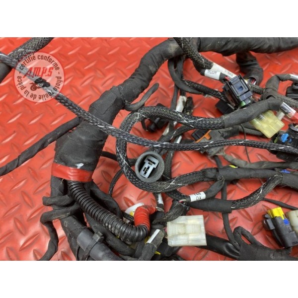 Faisceau électrique principale 