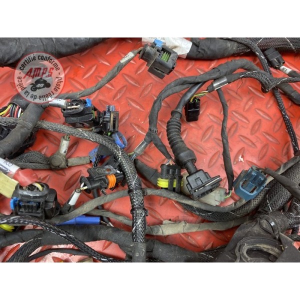 Faisceau électrique principale 