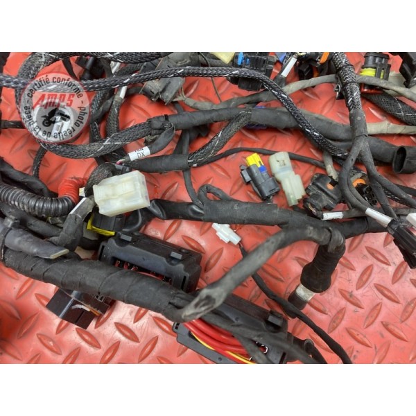 Faisceau électrique principale 