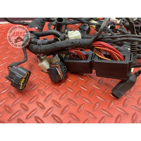 Faisceau électrique principale 