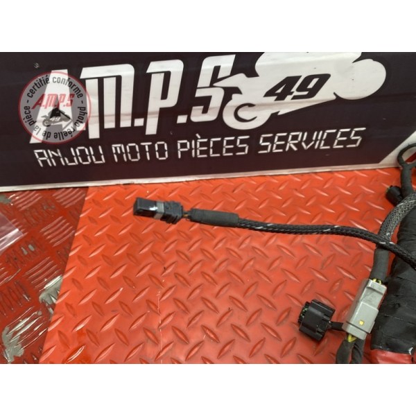 Faisceau électrique principale 