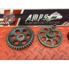 Kit de pignon moteur 