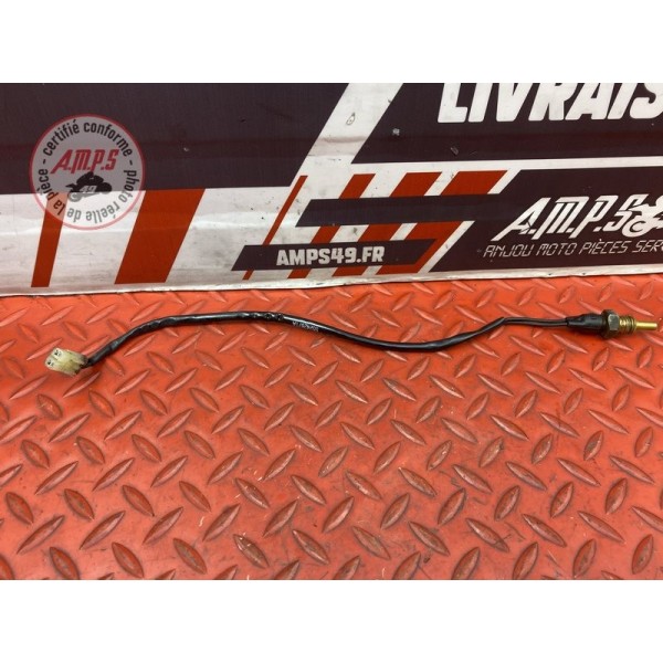 Sonde de température d'eau 
