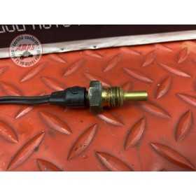 Sonde de température d'eau 