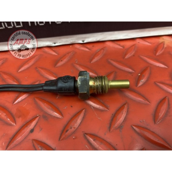 Sonde de température d'eau 