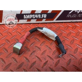 Cable de batterie 
