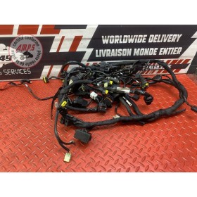 Faisceau électrique principale 