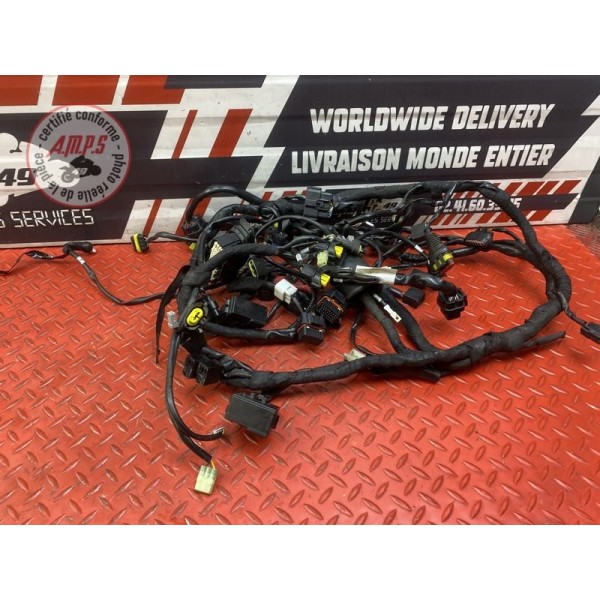 Faisceau électrique principale