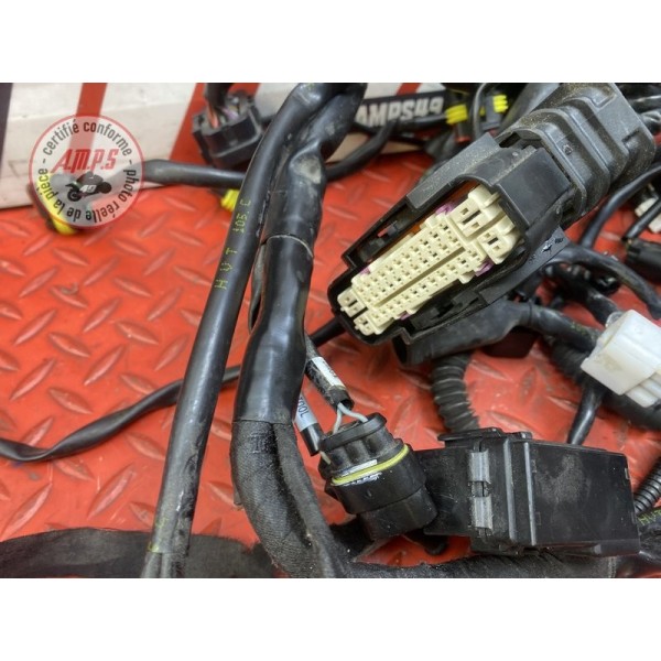 Faisceau électrique principale 