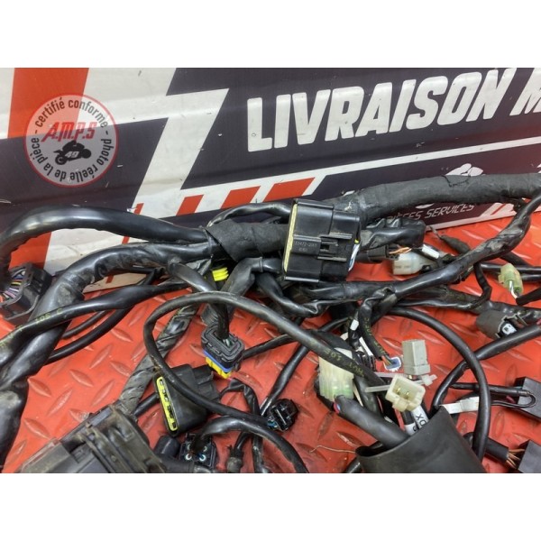 Faisceau électrique principale 