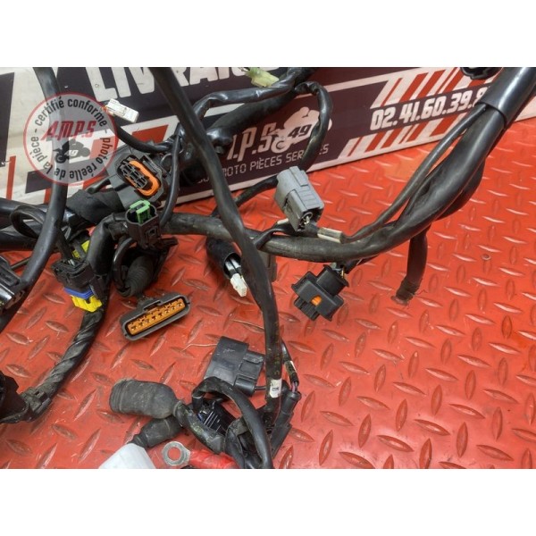 Faisceau électrique principale 